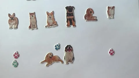Dog Character Stickers on White Background Vidéo 312836374