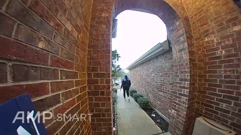 Dog Chases Down Delivery Driver for Second Package, Heartland, Texas, USA - 15 D Stock Footage 205411413