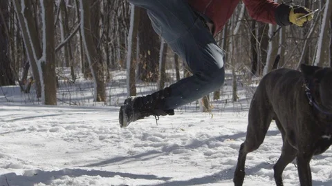Dog Chases something and makes owner slip and fall on ice Stock-Footage 125719985