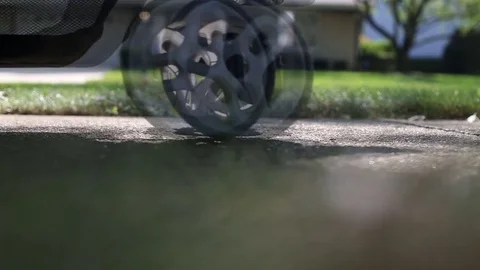 Dog chasing after stroller, video Stock Footage 79693684