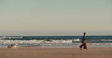Dog chasing owner on beach during a walk Stock Footage 85859463