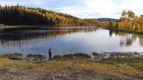 Dog chasing stick on a beautiful fall mountain day Stock Footage 97130581