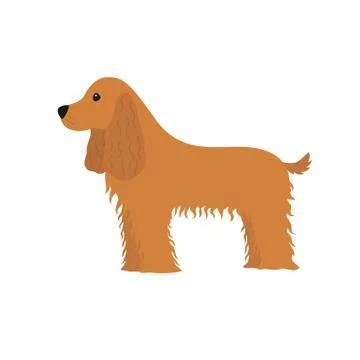 Dog Cocker Spaniel Stock Illustration