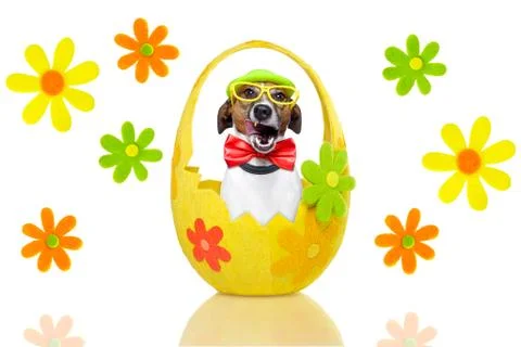 Dog in colorful easter egg Stock Illustration