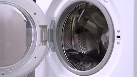 Dog comes and uploads into the opened washing machine drum laundries for wash Stock Footage 130815806