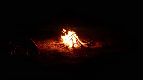 A dog comes to the fire at night 스톡 동영상 238767878