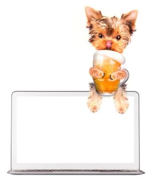 Dog on computer with beer Illustrazione stock