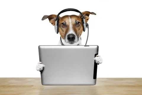 Dog computer Stock Illustration