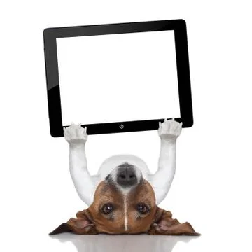 Dog computer Stock-Illustration