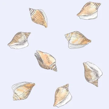 Dog conch , wing shell hand drawn sketch vector. sea food collection. Stock Illustration