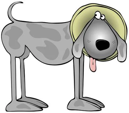 Dog with a cone on it's head Stock Illustration