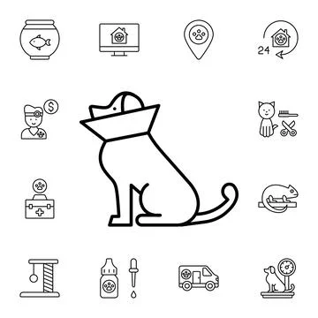 Dog, cone of shame flat vector icon in petshop pack Stock Illustration