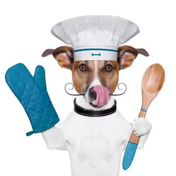Dog cook chef Stock Photos