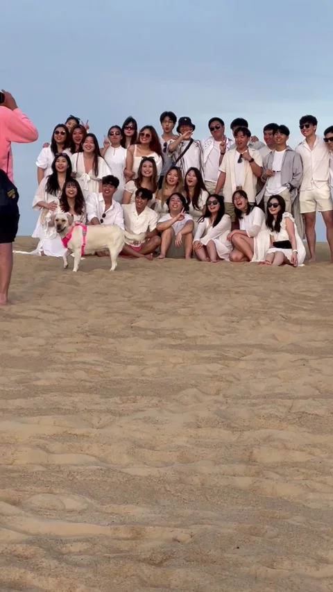Dog Crashes Group Picture, Kill Devil Hills, North Carolina, USA - 15 May 2023 Stock Footage 242368150