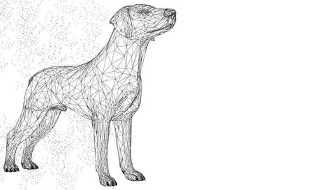  Dog cute 3d vector illustration animal. Abstract wirframe polygon triangl... Stock Photos