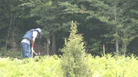 Dog de-mining Stock Footage 8954953