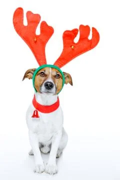 Dog as deer Stock Illustration