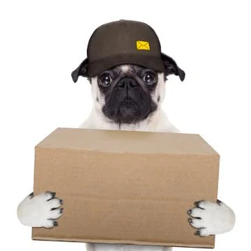 Dog delivery post Stock-Fotos