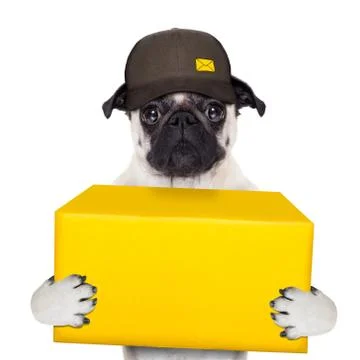 Dog delivery post Foto stock
