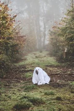 Dog is disguised as tiny ghost Stock Photos