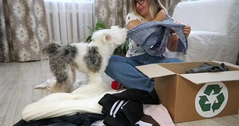 The dog does not want to give up the old clothes and snatches them from the Vídeo Stock 274193651