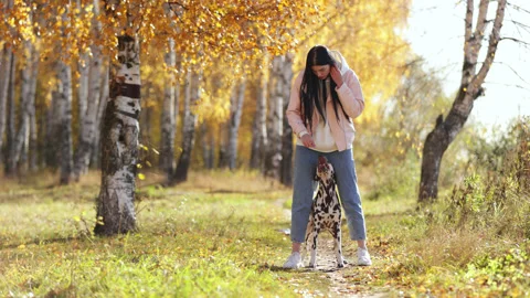 Dog does tricks, jumps in slow motion. Beautiful attractive girl with a Stock Footage 287871587
