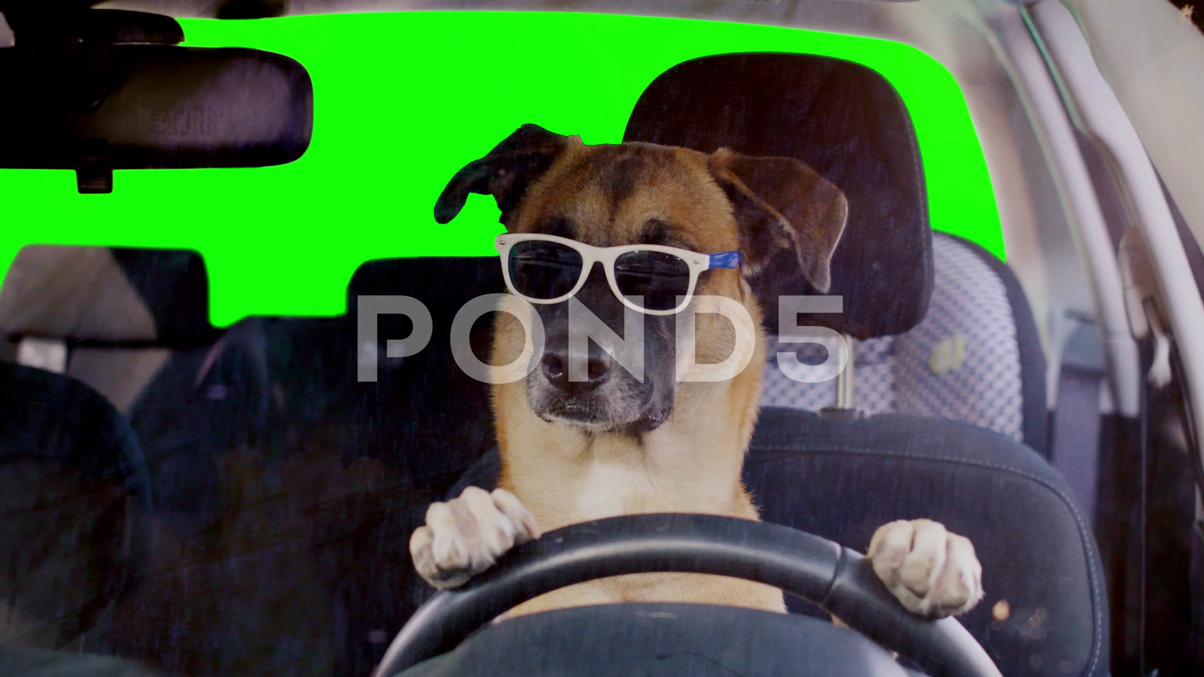 Are Polarized Sunglasses Good For Night Driving | KoalaEye Optical