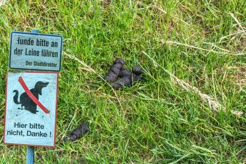 Dog droppings on grass Stock Photos