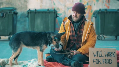 A dog is eating from beggar's hands Vidéo 168128591