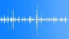 Dog Eating Sound Effect