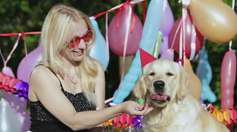 Dog eats strawberry. Stock Footage 49434228