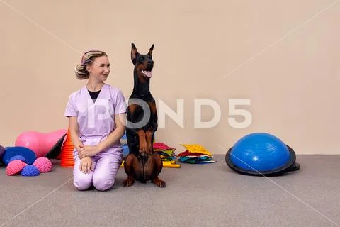 Dog is engaged fitness on massage and physiotherapy carpet