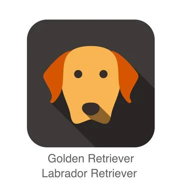 Dog face flat design, Golden Retriever, Labrador Stock Illustration