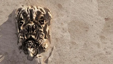 Dog face sand bottom Stock Illustration