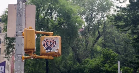 Dog face sticker attached on the back side of crosswalk sign - 4K NYC Stock Footage 245043523