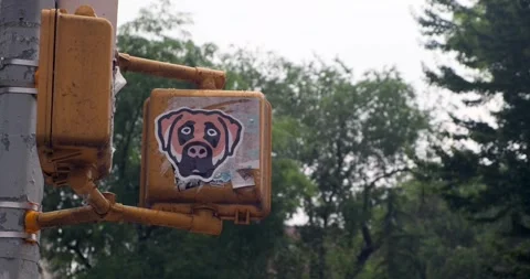 Dog face sticker on the back side of crosswalk sign, New York City - 4K NYC Stock Footage 245043527