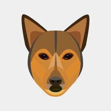 Dog face vector illustrated portrait . Cute face on a gray background. 스톡 일러스트