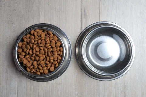 Dog feed theme Stock Photos