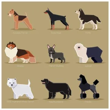 Dog flat icons set Stock Illustration