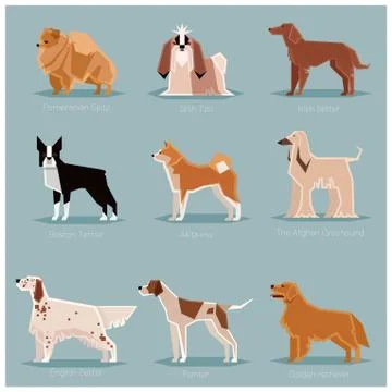 Dog flat icons set Stock Illustration
