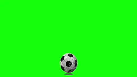 Dog Flying - Chroma Key Green Screen Footage 스톡 동영상 339326072