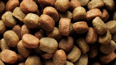 The dog food Stock Footage 80720379