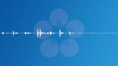DOG FOOSTEPS ON GRASS 2 Sound Effect