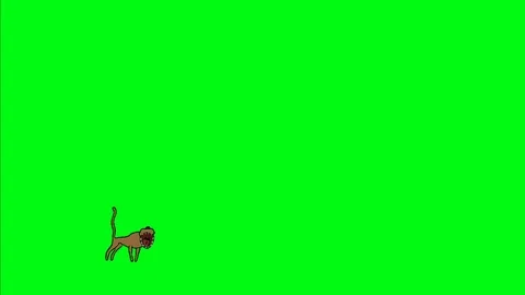 Dog Video stock 117776471