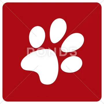 Dog footprint Stock Illustration