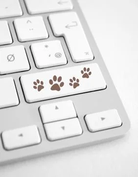 Dog footprints Stock Photos
