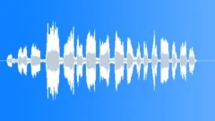 Dog Fox Terrier WireHaired Sound Effect