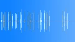 Dog Fox Terrier WireHaired Sound Effect