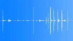 Dog Fox Terrier WireHaired Sound Effect