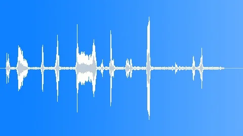 Dog Fox Terrier WireHaired Sound Effect